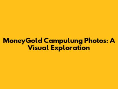 MoneyGold Campulung Photos: A Visual Exploration